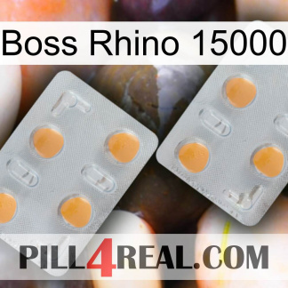 Boss Rhino 15000 25